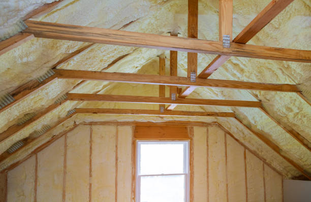 Best Local Insulation Services  in Dawson, MN